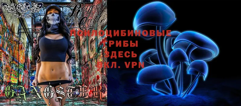 Галлюциногенные грибы MAGIC MUSHROOMS  Дедовск 